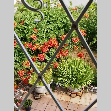 Wachtertor Appartement *