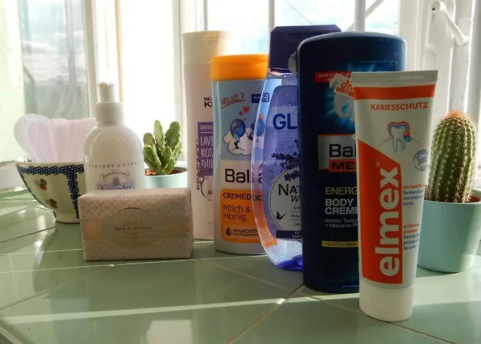 Appartement Wachtertor Krems an der Donau