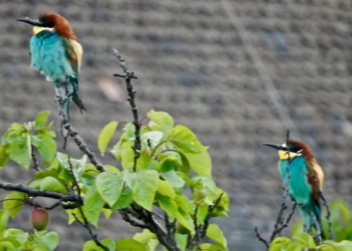 アパート Wachtertor *