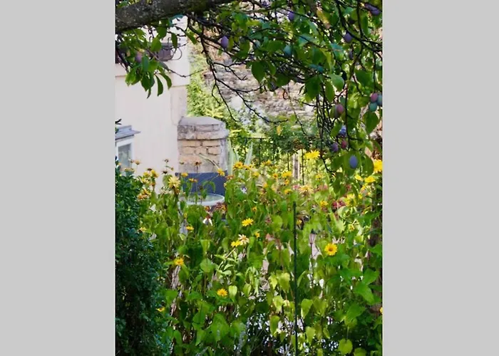 Wachtertor * クレムス アン デル ドナウ