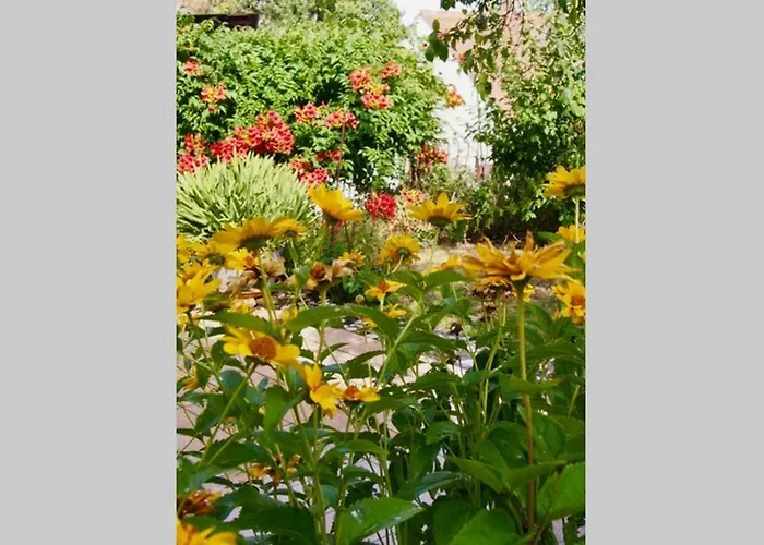 アパート Wachtertor