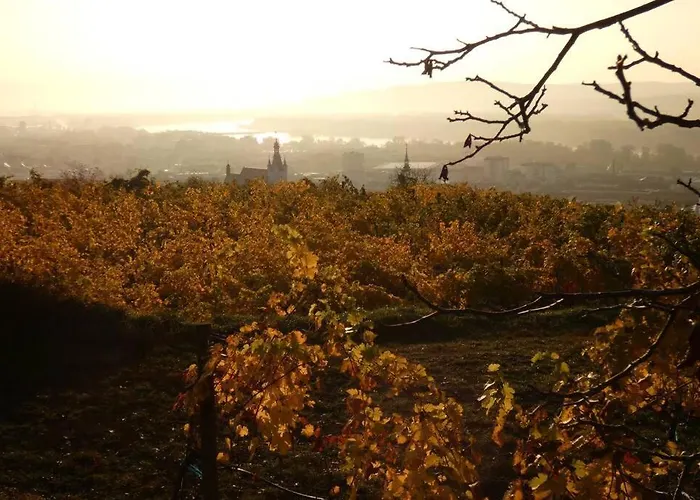 Wachtertor Krems an der Donau